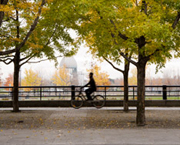 Bike to work to save gas.